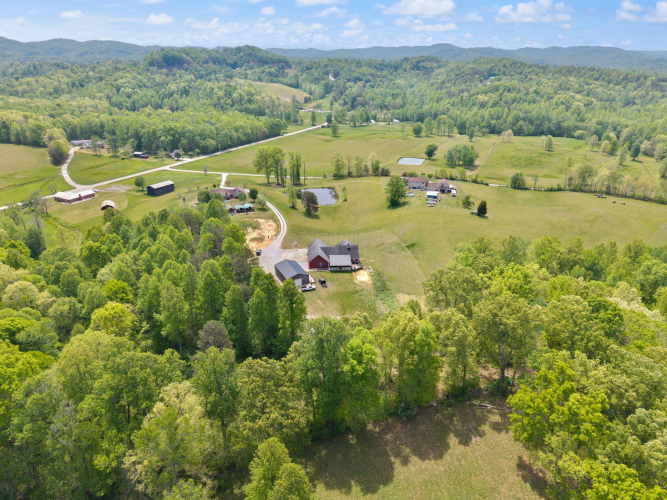 Listing Image 79