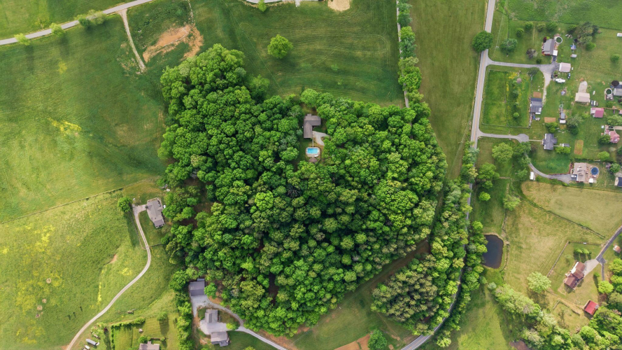 Listing Image 101