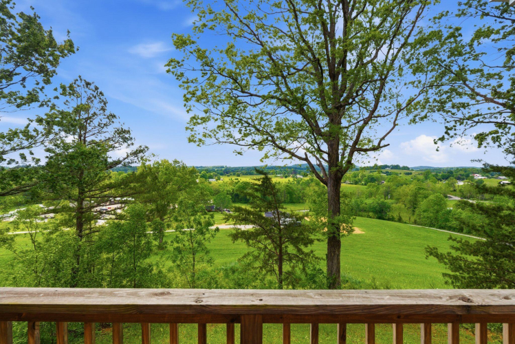 Listing Image 152