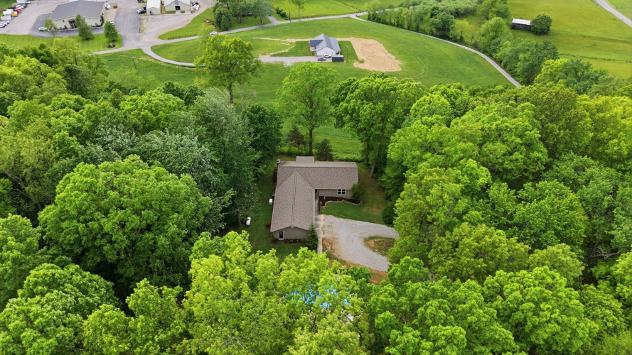 Listing Image 156