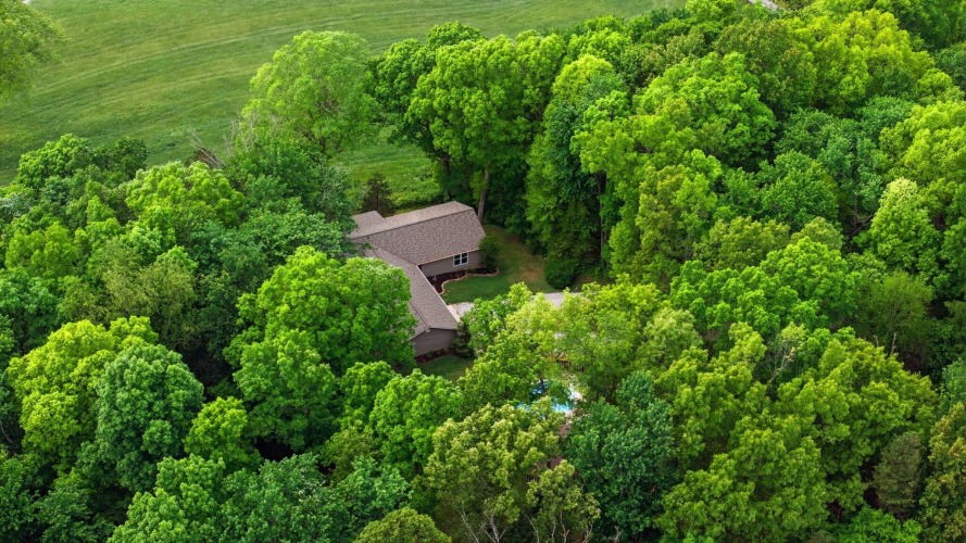 Listing Image 158