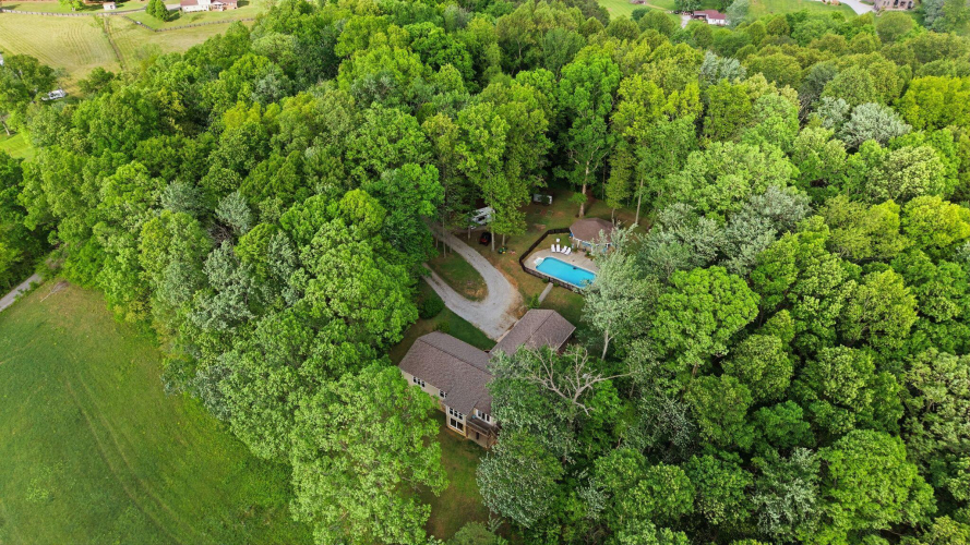 Listing Image 162