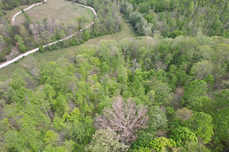 Listing Image 11