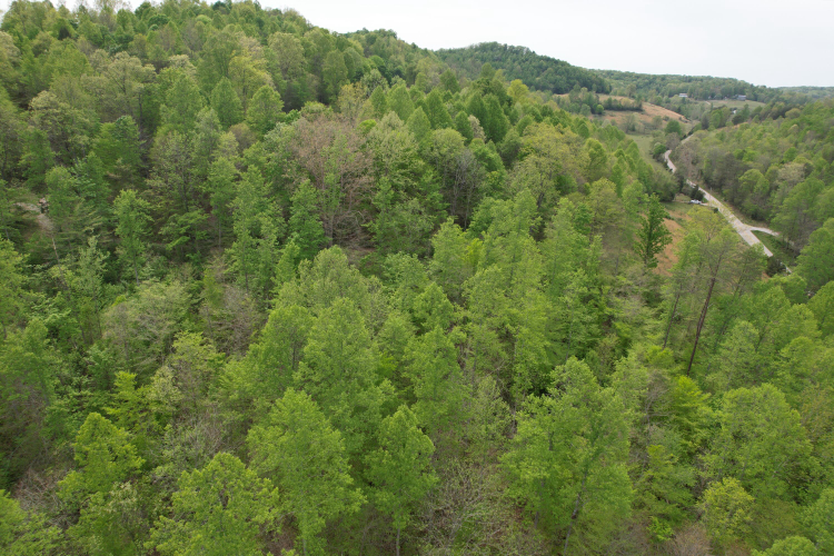 Listing Image 12