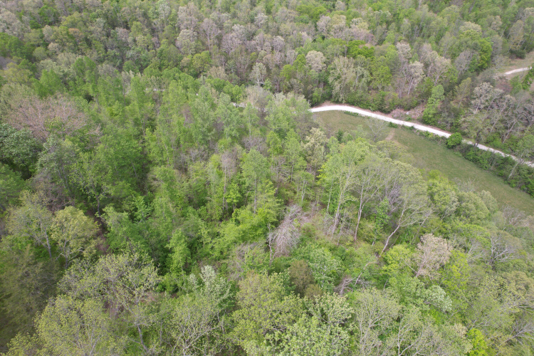 Listing Image 13