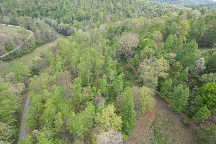 Listing Image 8