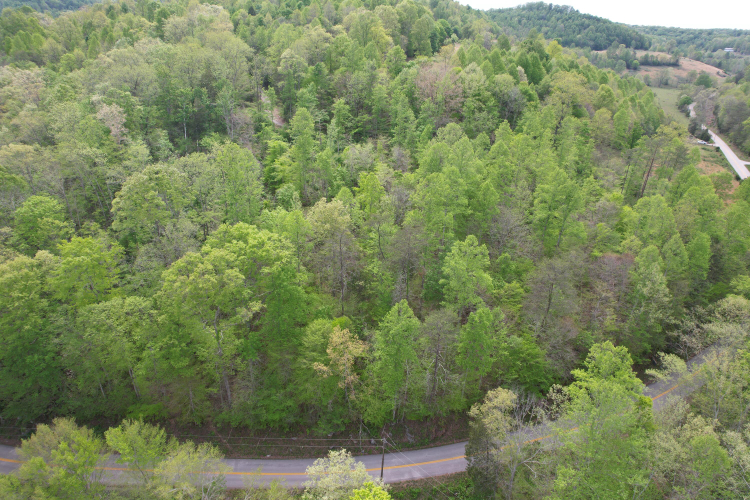 Listing Image 9