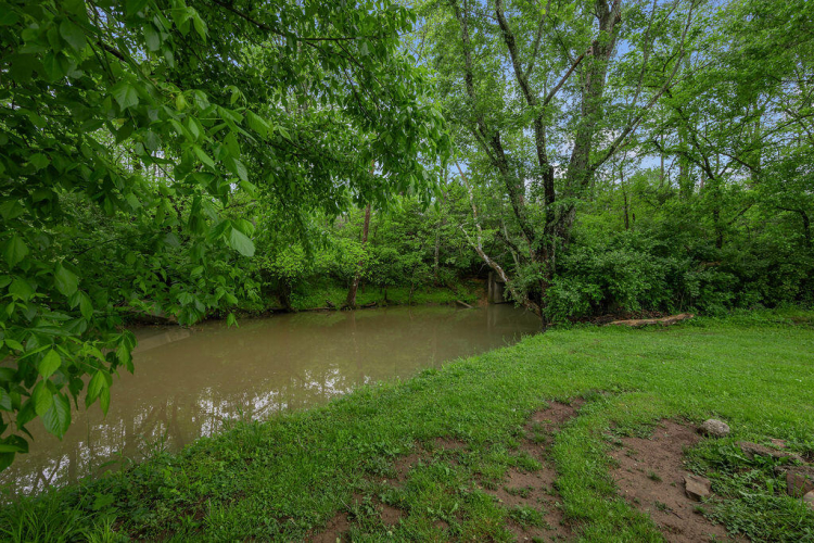Listing Image 46