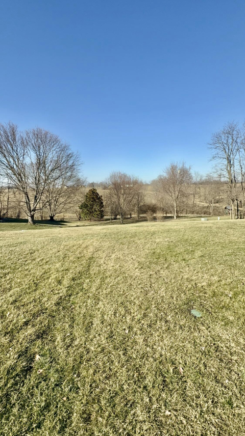 Listing Image 45