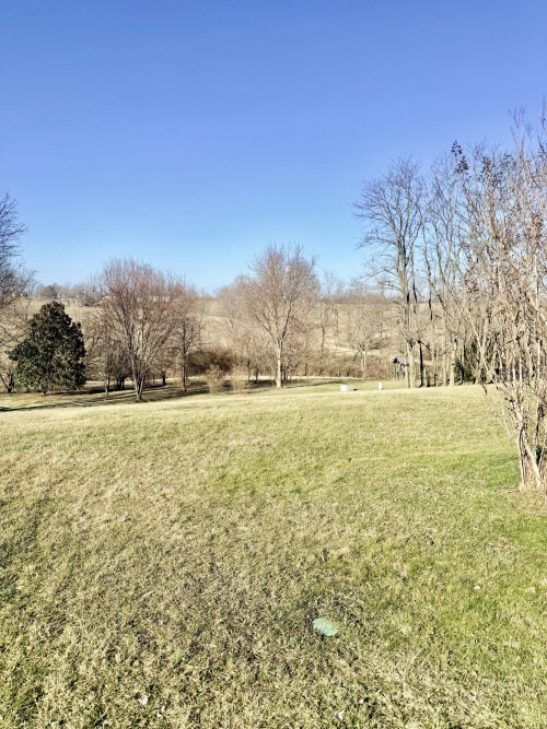 Listing Image 46