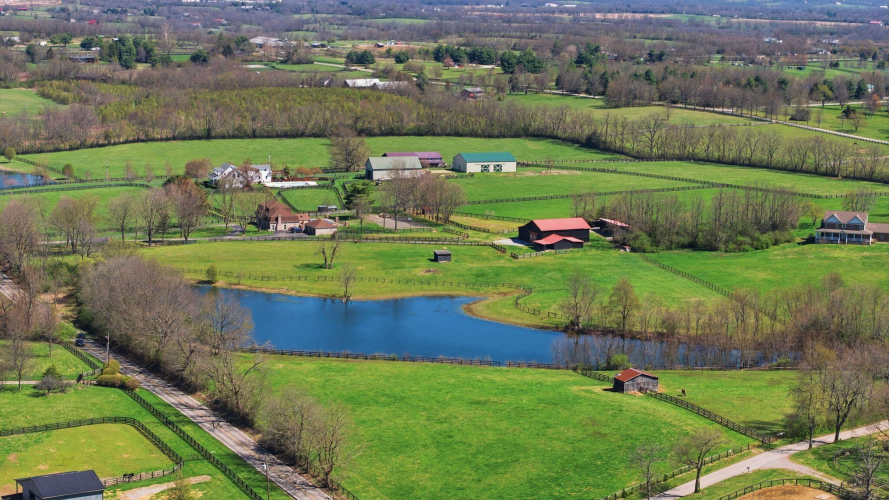 Listing Image 87