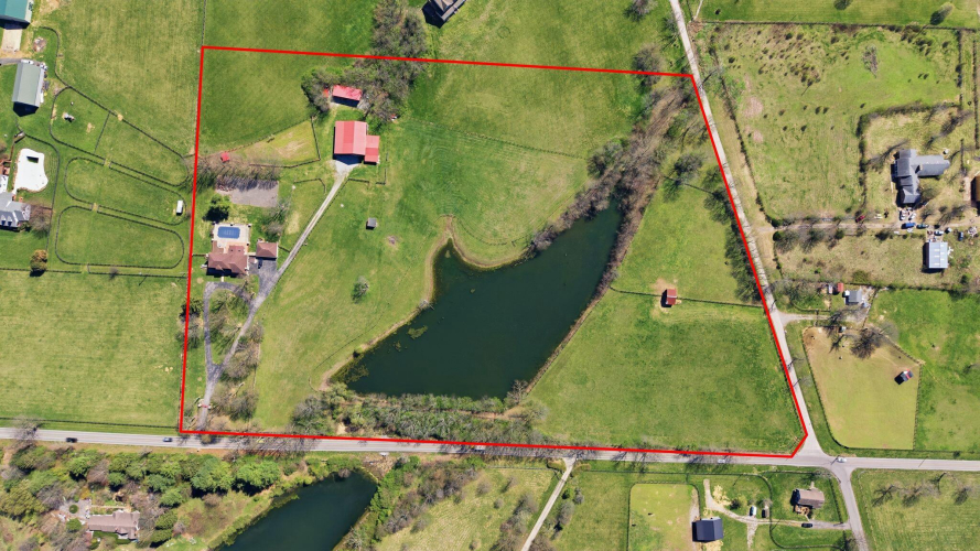 Listing Image 91