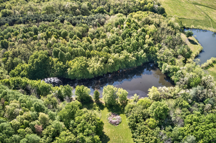 Listing Image 76