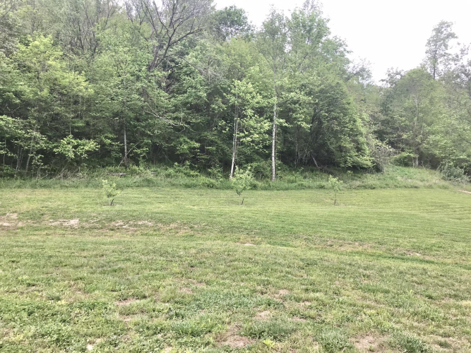 Listing Image 24