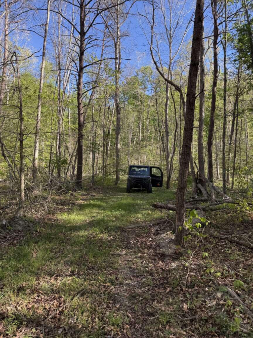 Listing Image 8