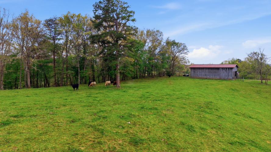 Listing Image 65