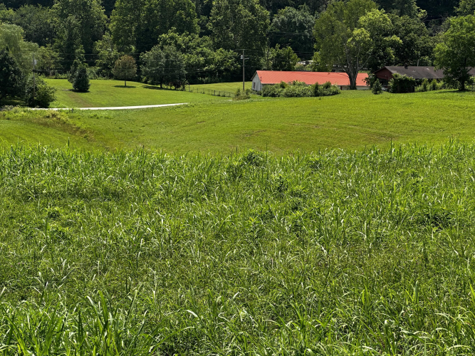 Listing Image 17