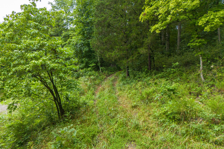 Listing Image 58