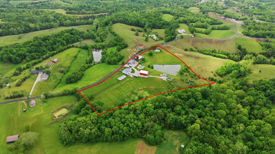 Listing Image 14