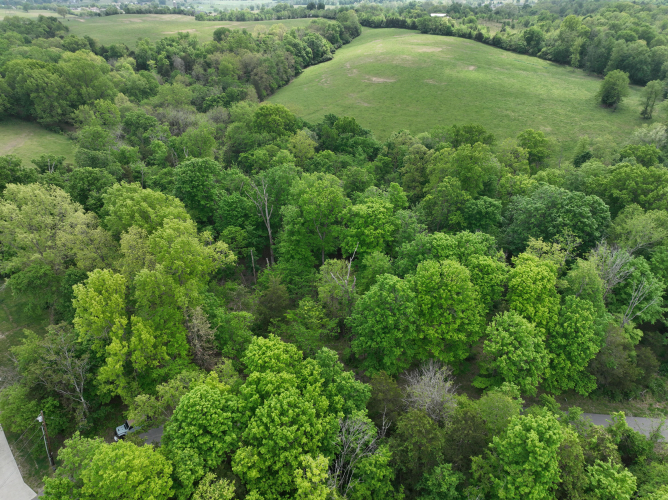 Listing Image 17