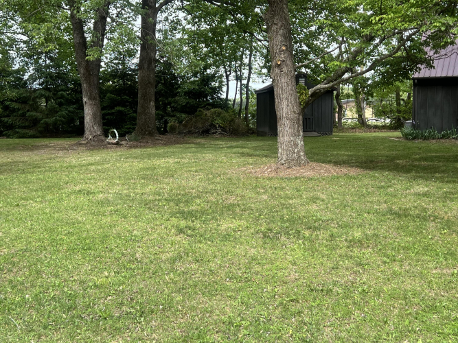 Listing Image 30