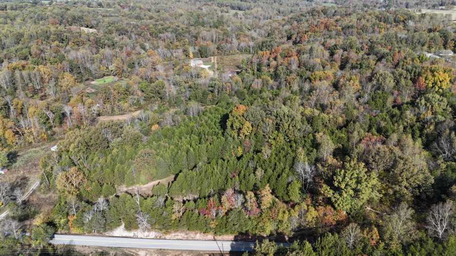 Listing Image 64