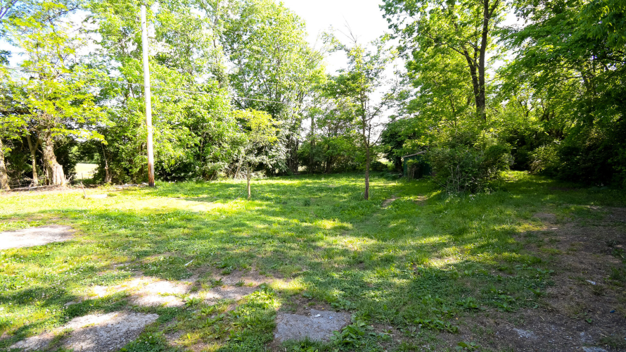 Listing Image 26