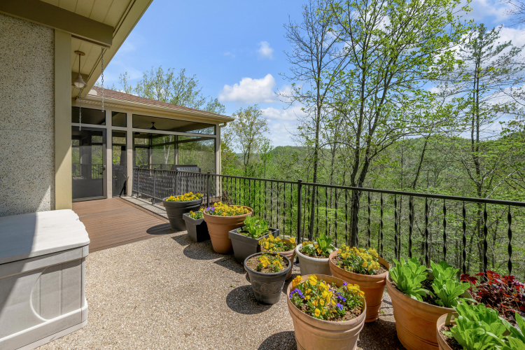 Listing Image 113