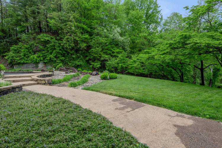 Listing Image 96