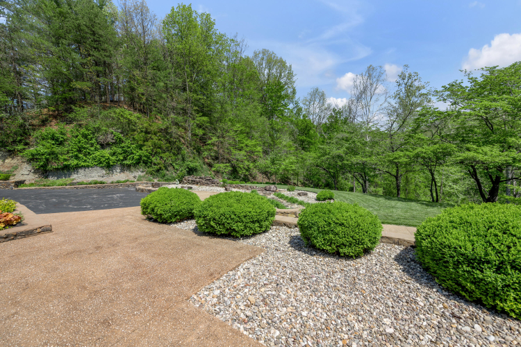 Listing Image 97