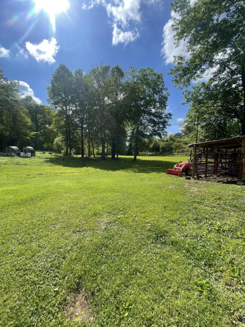 Listing Image 20