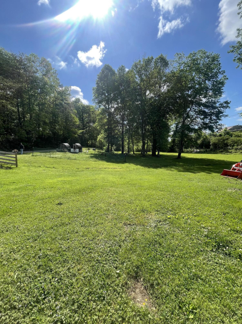Listing Image 21