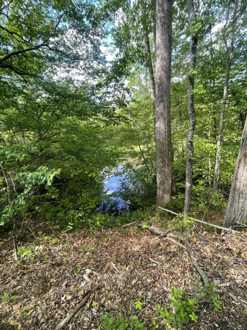 Listing Image 28