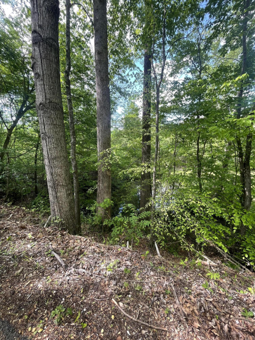 Listing Image 30