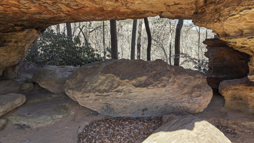 Listing Image 3
