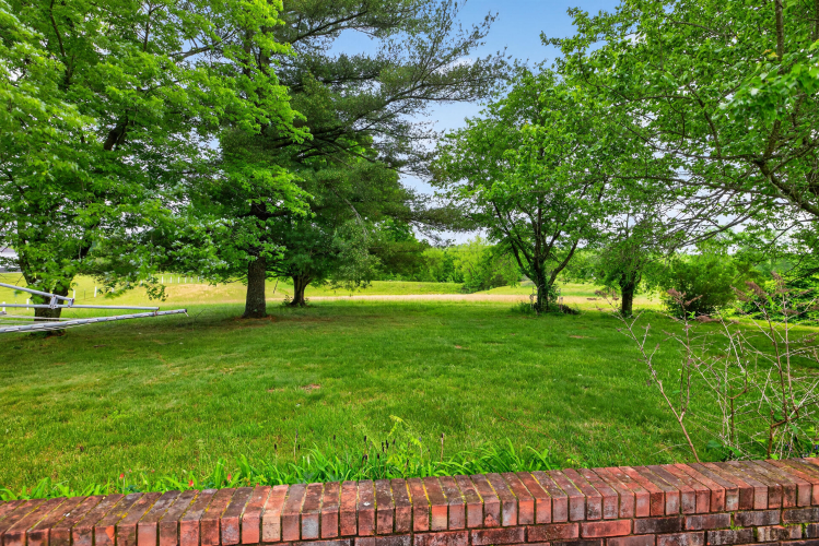 Listing Image 26