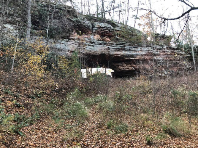 Listing Image 17