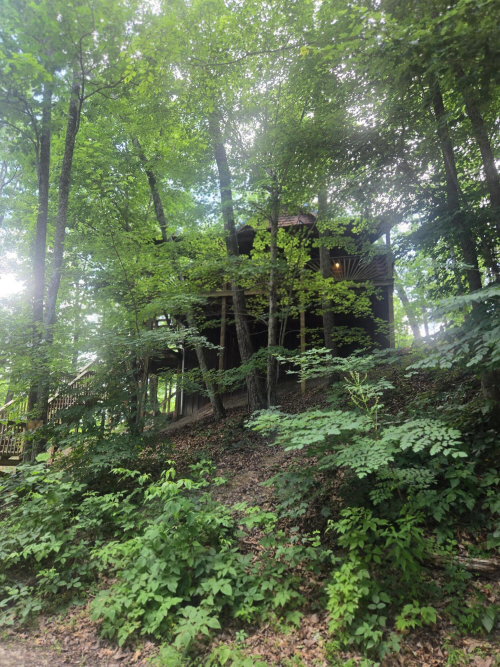 Listing Image 21