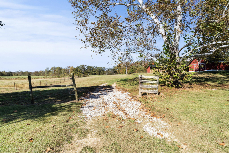 Listing Image 29