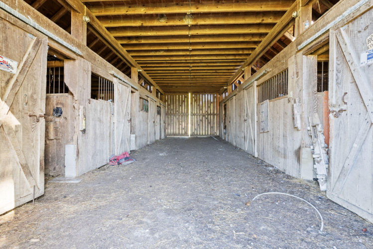 Listing Image 32
