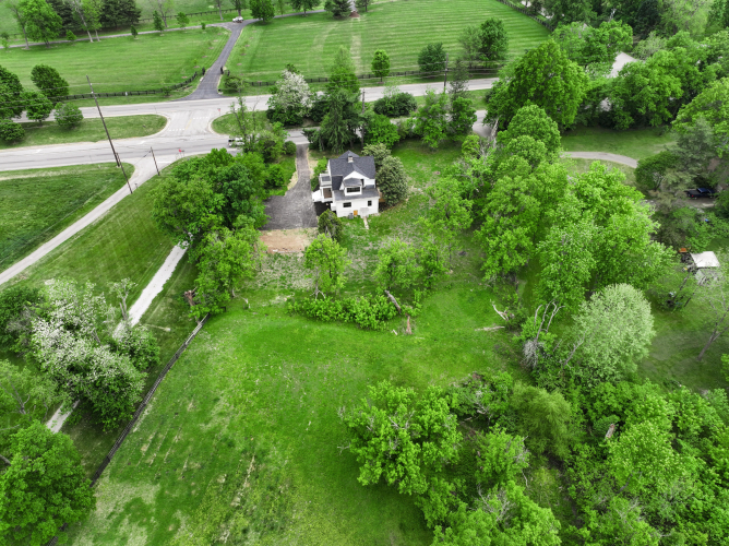 Listing Image 73