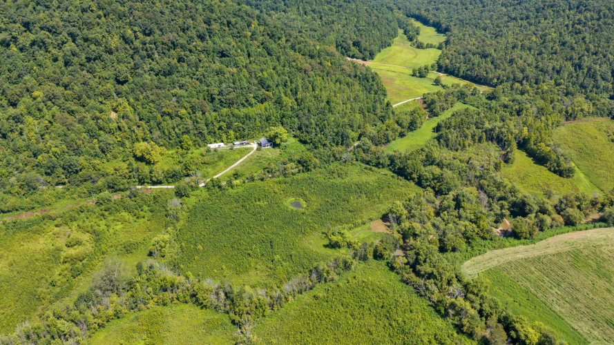 Listing Image 13