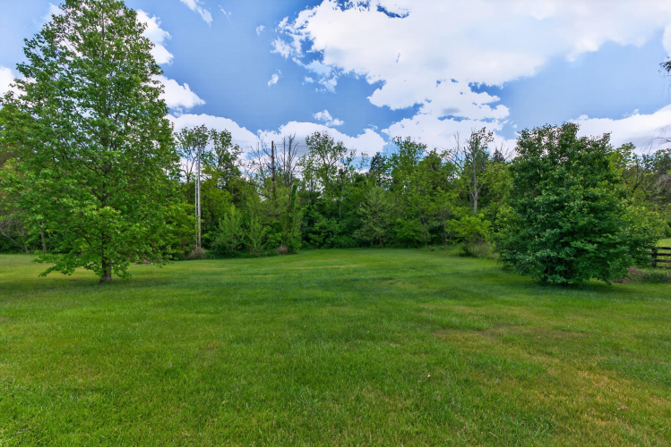 Listing Image 46