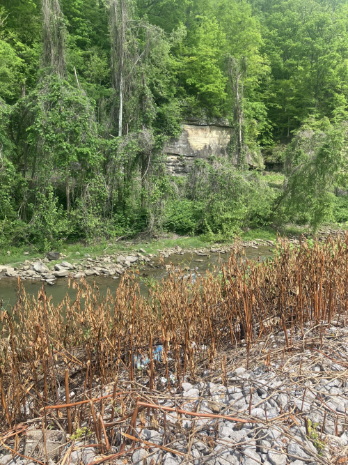Listing Image 34