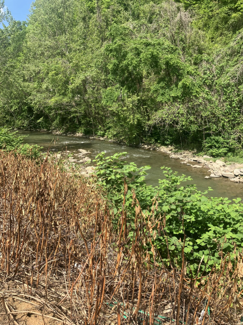 Listing Image 35