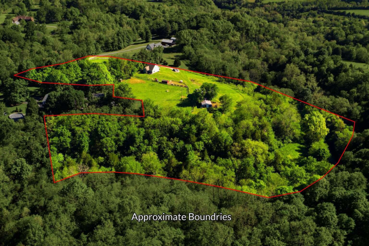 Listing Image 65