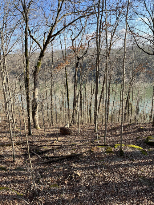 Listing Image 84