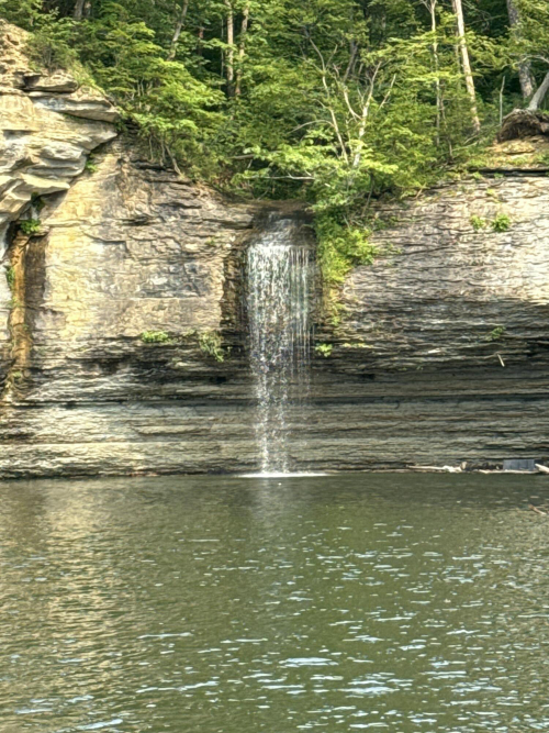 Listing Image 85