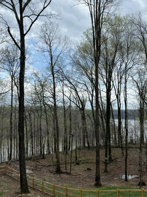 Listing Image 86