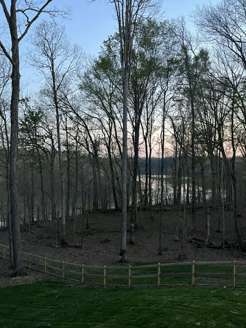 Listing Image 87